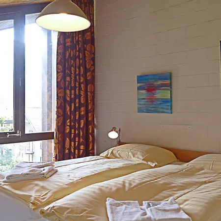 Im Gruebi Apt- 10 By Interhome