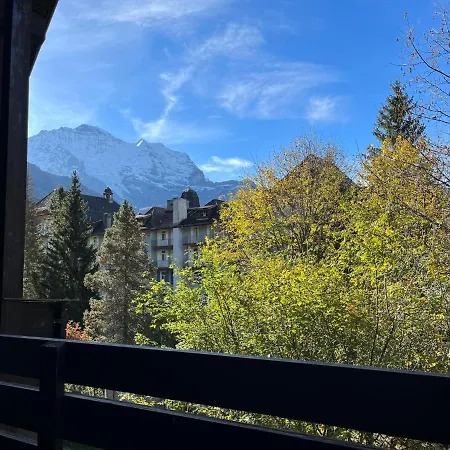 Apartment Im Gruebi Apt- 10 By Interhome Lägenhet Wengen
