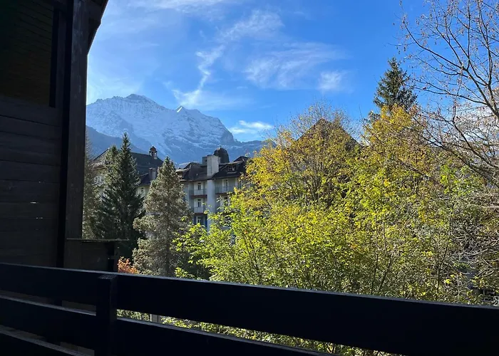 Apartment Im Gruebi Apt- 10 By Interhome Apartment Wengen