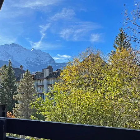Im Gruebi Apt- 10 By Interhome Apartamento Wengen