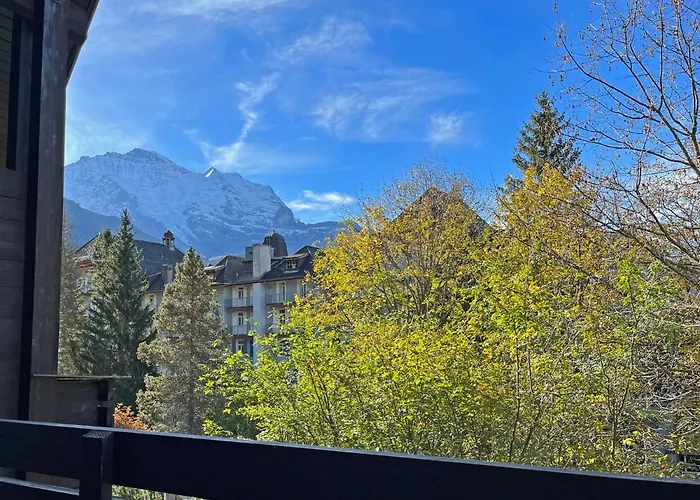 Im Gruebi Apt- 10 By Interhome Apartmán Wengen