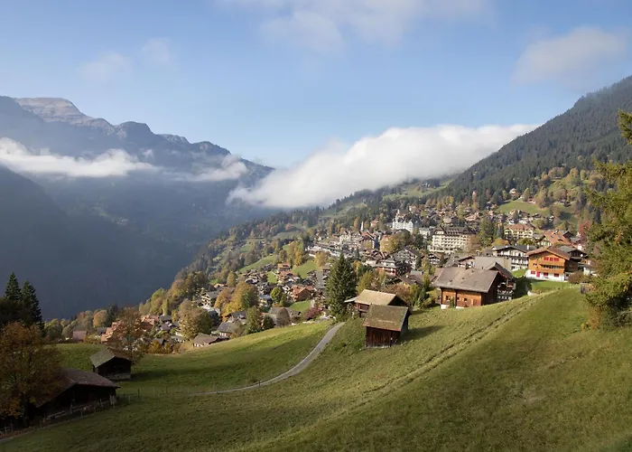 Im Gruebi Apt- 10 By Interhome Wengen